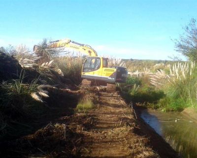 Limpieza del arroyo de Pontevedras