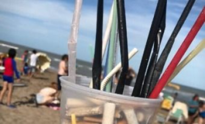 El Concejo aprob� una programa para reducir el uso de sorbetes y vasos pl�sticos
