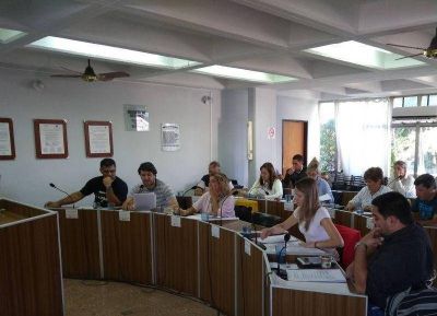 Ricciardelli pidi� informaci�n sobre Laboratorios Ramallo