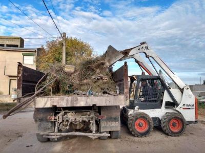 Barrios Limpios: r�pida respuesta al Concejo Deliberante y vecinos