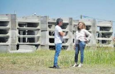 Cuando la pol�tica se transforma en un eslab�n para el medioambiente