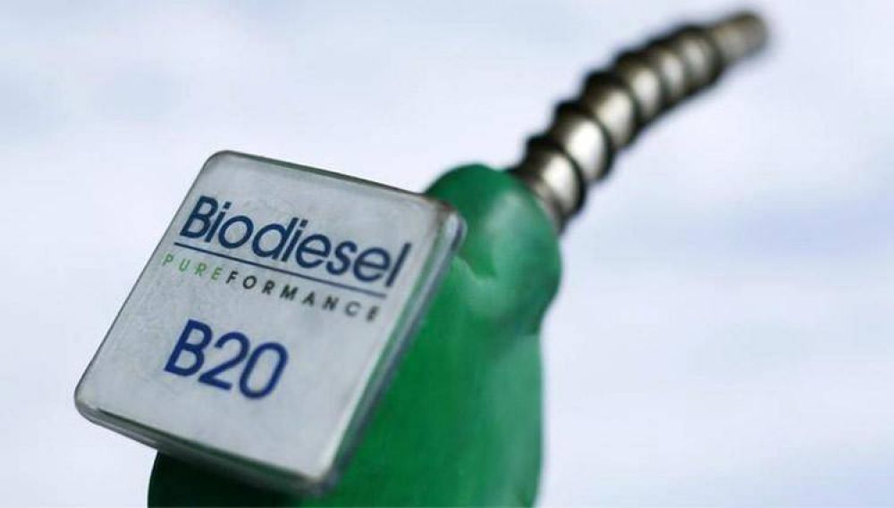 Aseguran que el precio del gasoil en el surtidor bajara si se incorporara mayor porcentaje de biodiesel