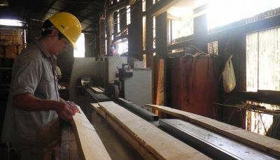 M�s despidos y sigue la ca�da de la industria maderera