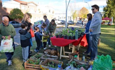 EcoCanje: un plant�n por residuos inorg�nicos