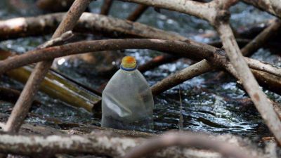 Reducir la contaminaci�n por pl�stico