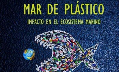 En Comunidad�Mar de pl�sticos�: un nuevo encuentro para debatir con cient�ficos
