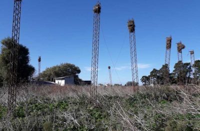 �Solo pedimos que saquen las columnas en riesgo y limpien el predio�