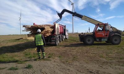 En Pehuen C� construir�n mobiliario urbano con madera del parque e�lico