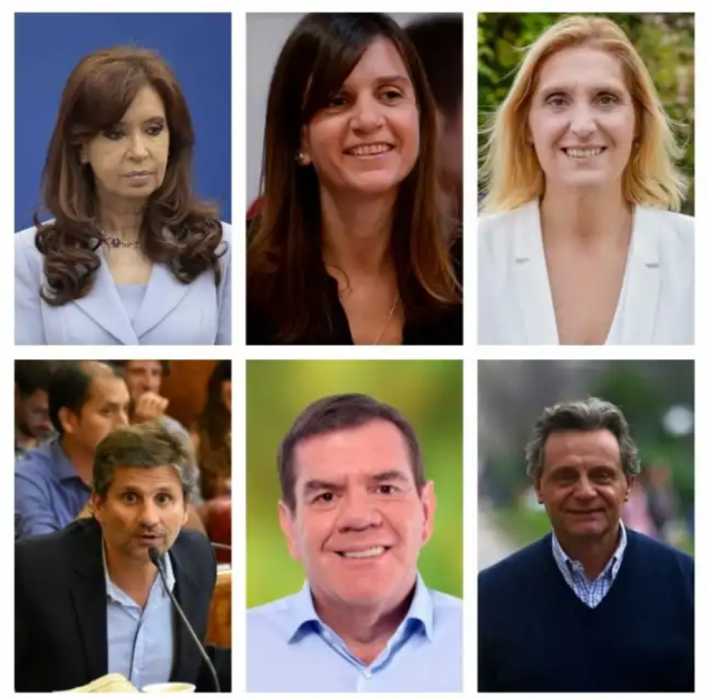 La reacci�n de los precandidatos a intendente de Mar del Plata a la f�rmula Fern�ndez Fern�ndez