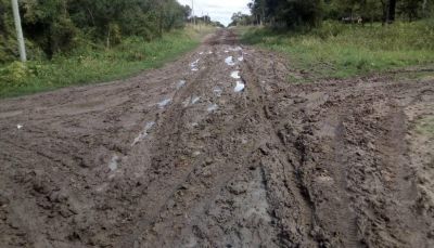 Vecinos de Campo Rossi reclaman ripio y agua potable