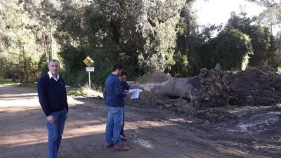 Bosque Peralta Ramos: analizan proyecto de extensi�n de la red cloacal