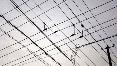 Rivadavia y coop. el�ctrica crearon empresa de Internet
