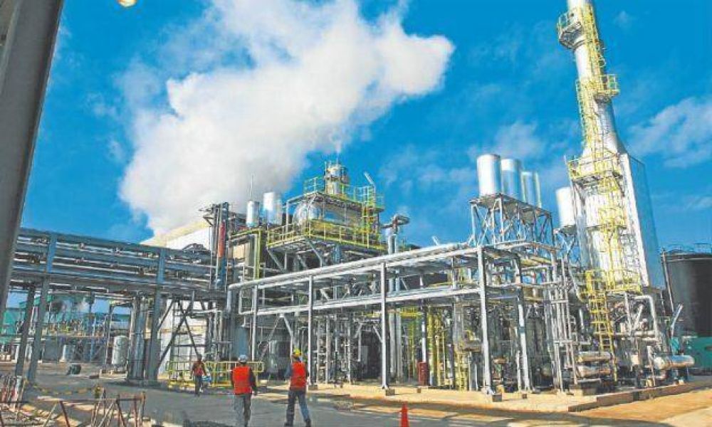 Cay� la producci�n y exportaci�n de biodiesel