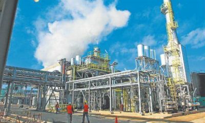 Cay� la producci�n y exportaci�n de biodiesel