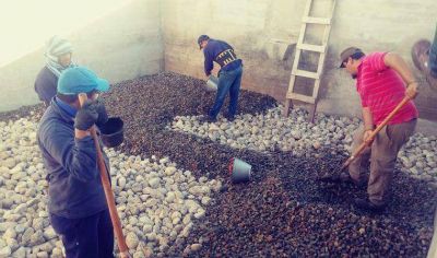 Importantes trabajos de IPALaR para mejorar la Potabilizaci�n del Agua en Aminga