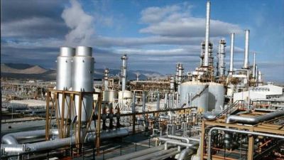 En el Congreso reclaman la instalaci�n de una refiner�a en el sur del pa�s