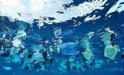 Investigadores del Inidep detectan micropl�sticos en el Mar Argentino