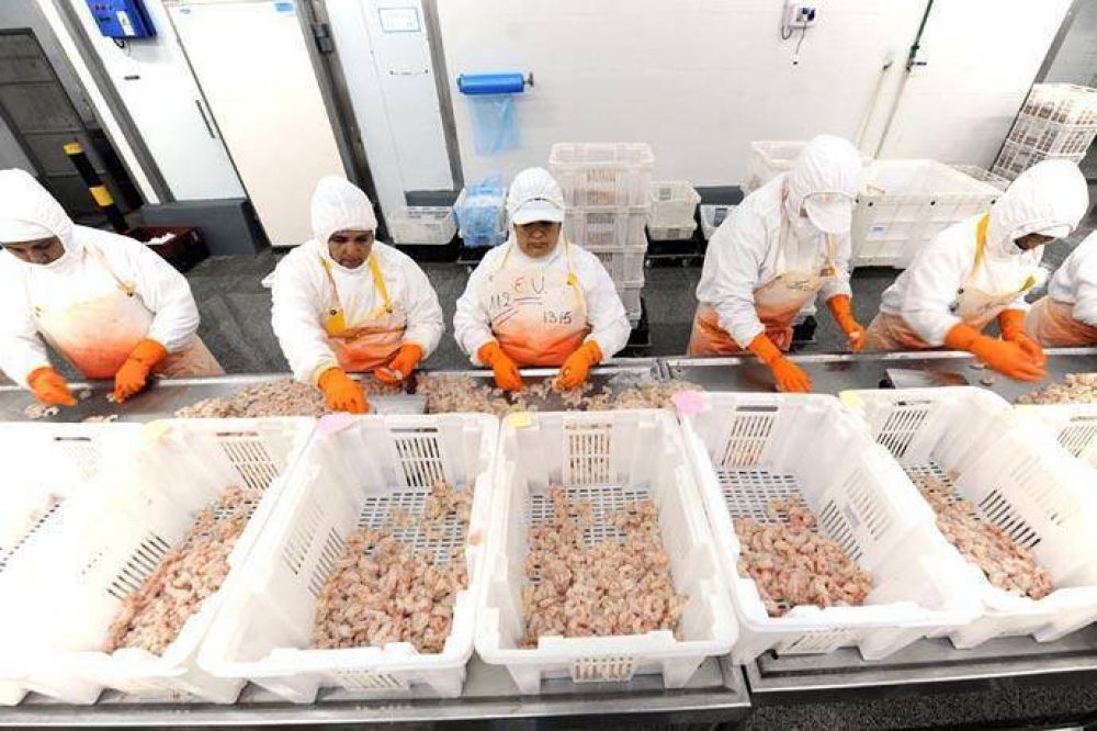 Brasil habilit� la importaci�n de langostino de Argentina