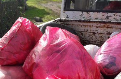 Indignante: residuos patol�gicos en Playa Chapadmalal a plena luz del d�a