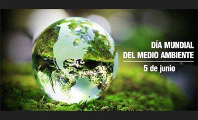 D�a mundial del Medio Ambiente: �por qu� se celebra?