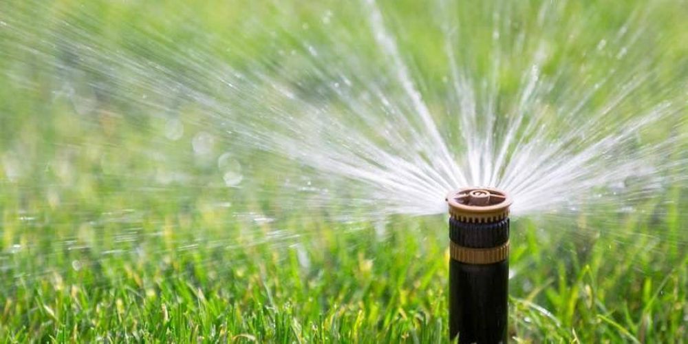 Comienza un nuevo curso gratuito de riego automatizado y uso racional del agua para vecinos geselinos