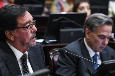 Guastavino sobre Pichetto: �No comparto su decisi�n, pero respeto sus argumentaciones� 