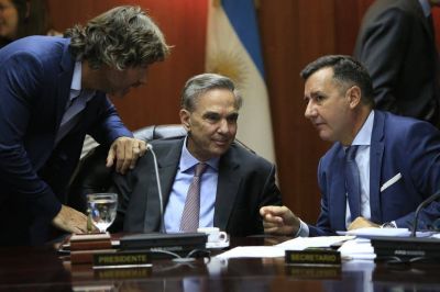 Bajo presi�n, Pichetto renunci� al Consejo de la Magistratura