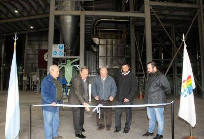 La Cooperativa Agropecuaria de Tandil apuesta al futuro con su nueva planta de producci�n