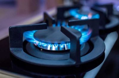 “El aumento del metro cúbico de gas fue del 11.000%, desde 2015”