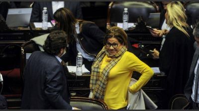 Cama�o encabezar� la lista de diputados por Buenos Aires de Consenso Federal