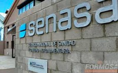 Pol�mica porque el Senasa rechaza que un gremio controle la calidad de los granos
