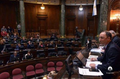 Licencia de conducir, nuevos cargos en la Justicia y protecci�n de animales