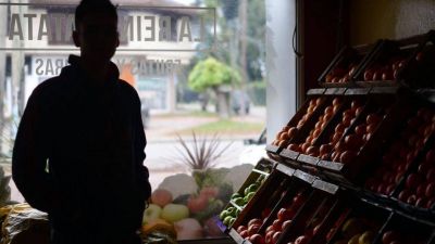 Sigue la bronca con Edelap: ahora una paloma dej� sin luz a miles de vecinos