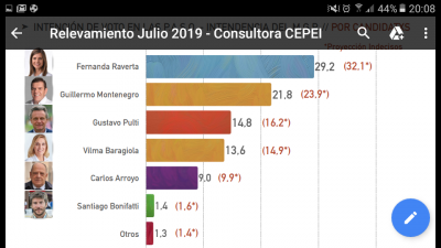 PASO 2019: encuesta refleja en Mar del Plata una tendencia a la �polarizaci�n�