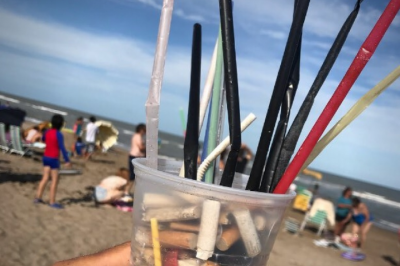 Lanzar�n en Mar del Plata la campa�a �D�a sin descartables�