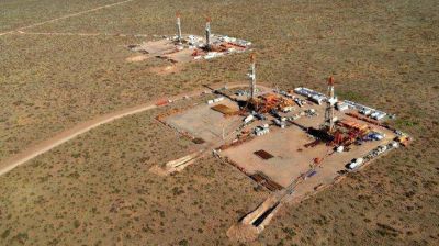 Con el aporte de Vaca Muerta, en junio volvi� a crecer la producci�n de gas