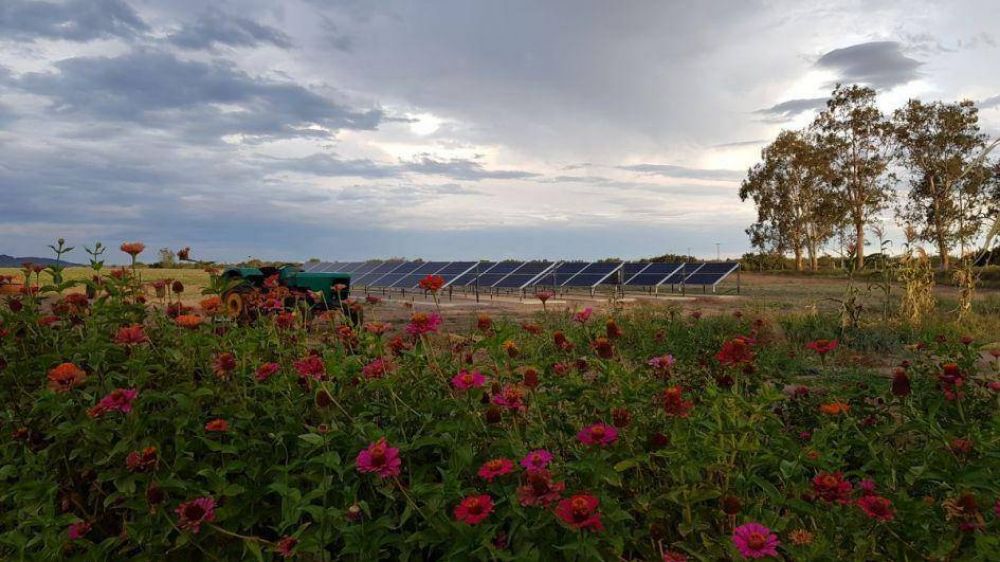 Solrica instala un nuevo parque solarLa firma instalar otro parque solar en la provincia de San Juan