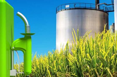 Informe: La situaci�n de los Biocombustibles en la Argentina 2019
