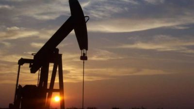 Tres empresas interesadas en explorar �reas hidrocarbur�feras en Neuqu�n