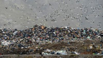 Piden a la Justicia que multe al municipio por el basural