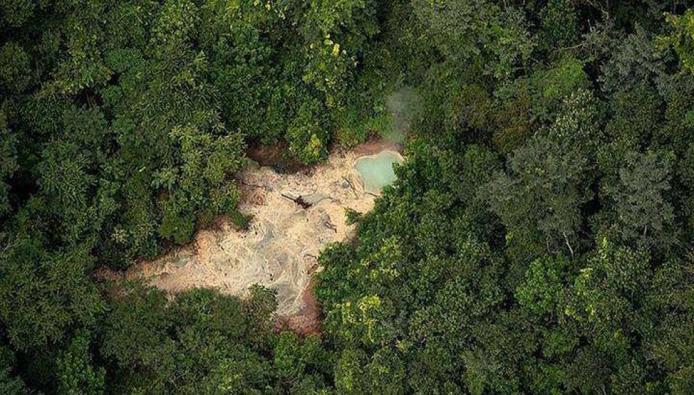 Cerrar�n dos pozos petroleros en el Parque Nacional Calilegua