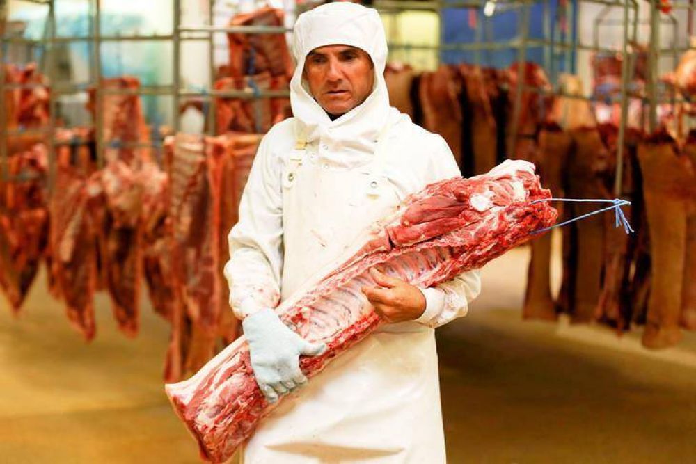 Las vaquitas son ajenas: en julio cay 9,5% el consumo de carne y de cada 5 kilos, 4 se exportan a China