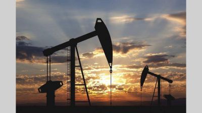 La producci�n de shale oil de Vista Oil & Gas creci� un 19% en Vaca Muerta