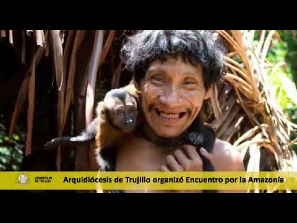 Am�rica Latina estudia el Instrumentum Laboris del S�nodo sobre la Amazon�a