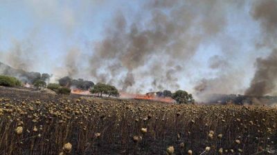 Mons. Henao: �Vivimos una urgencia ecol�gica, ambiental, humana