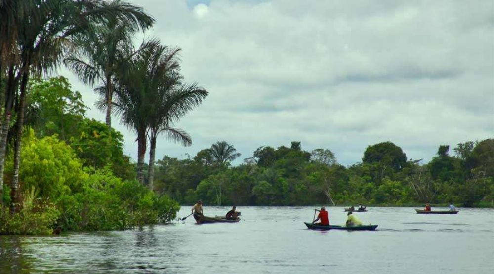 Obispo en Brasil critica Instrumentum laboris del Snodo: La Amazona ya no es catlica