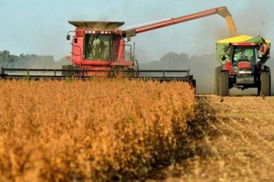 En el primer semestre, la econom�a cay� 2,6%