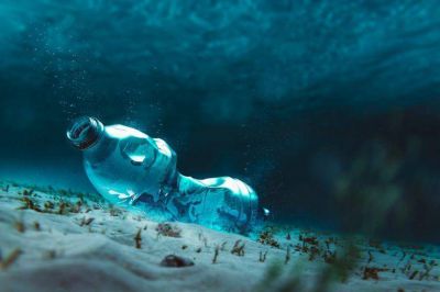 Dise�o, reciclaje y protecci�n de cuencas: c�mo Coca-Cola se transform� en una compa��a sustentable