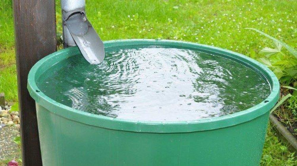 Serie Radiof�nica �Cuidemos nuestra Casa Com�n�: El Agua es de todos