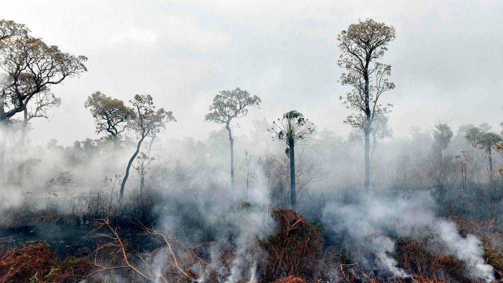 Obispos de Bolivia: Clamor ante la cat�strofe de los incendios en la Amazon�a
